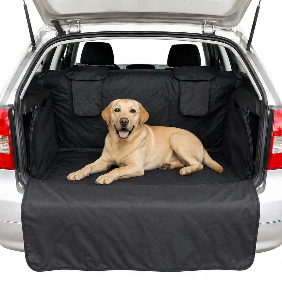 A light-colored Labrador retriever lies on a black car trunk liner inside an open hatchback trunk, with the trunk lid raised against a white studio background.